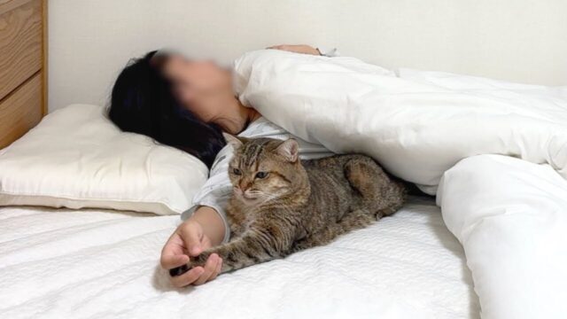 「構ってほしいのに飼い主が寝ちゃった…」 キジトラ猫が考えついた“かわいい起こし方”が萌える！