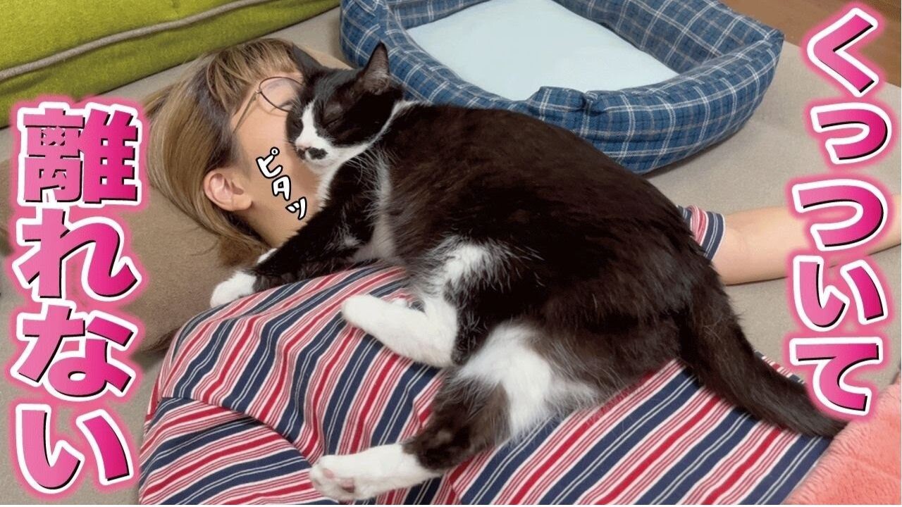 e0ca14f0a913d2eee0190491f6a3e5