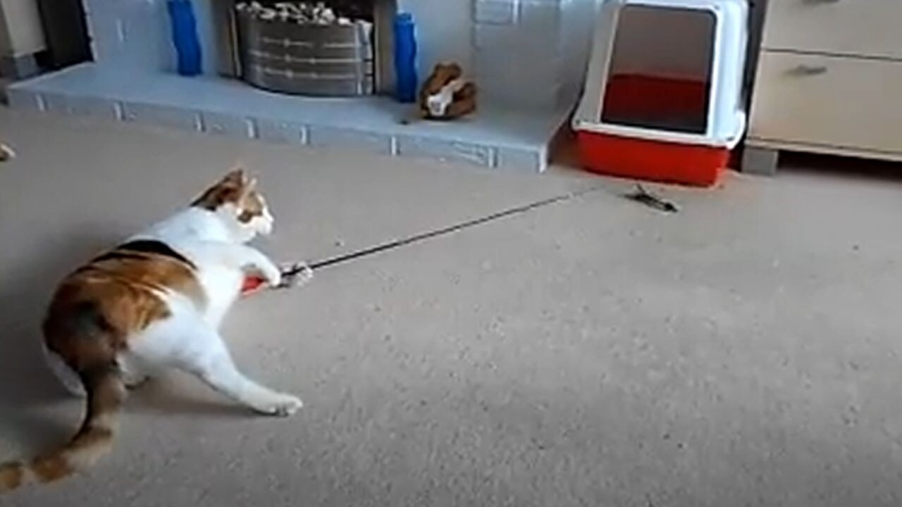 d6037b207d861e2dfe757591e72a82