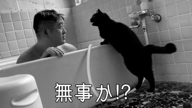 「無事か！？」夜勤明けの疲れを癒す飼い主さんの長風呂を心配して、突撃する猫ちゃん