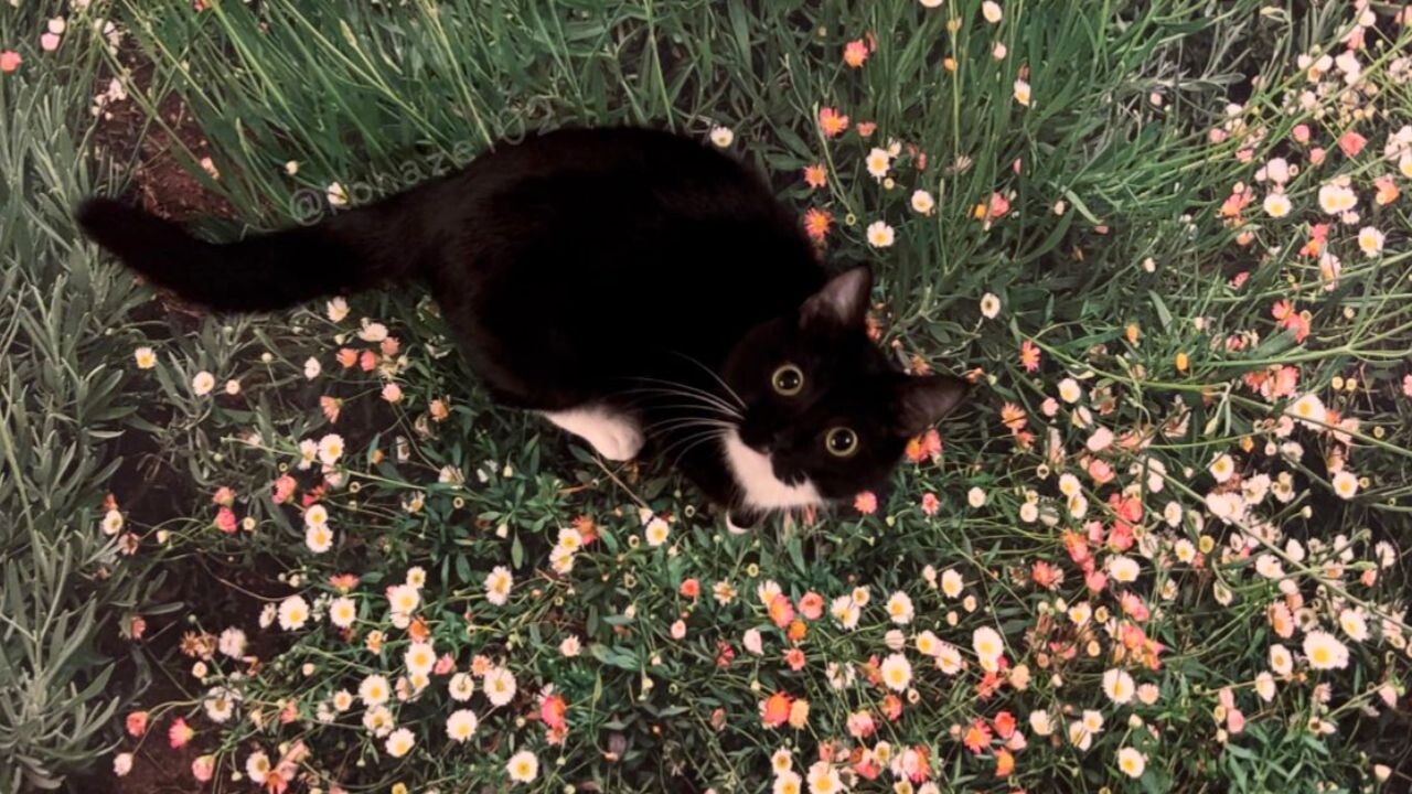 3ddf1ca3d5129520c5350dd0046622