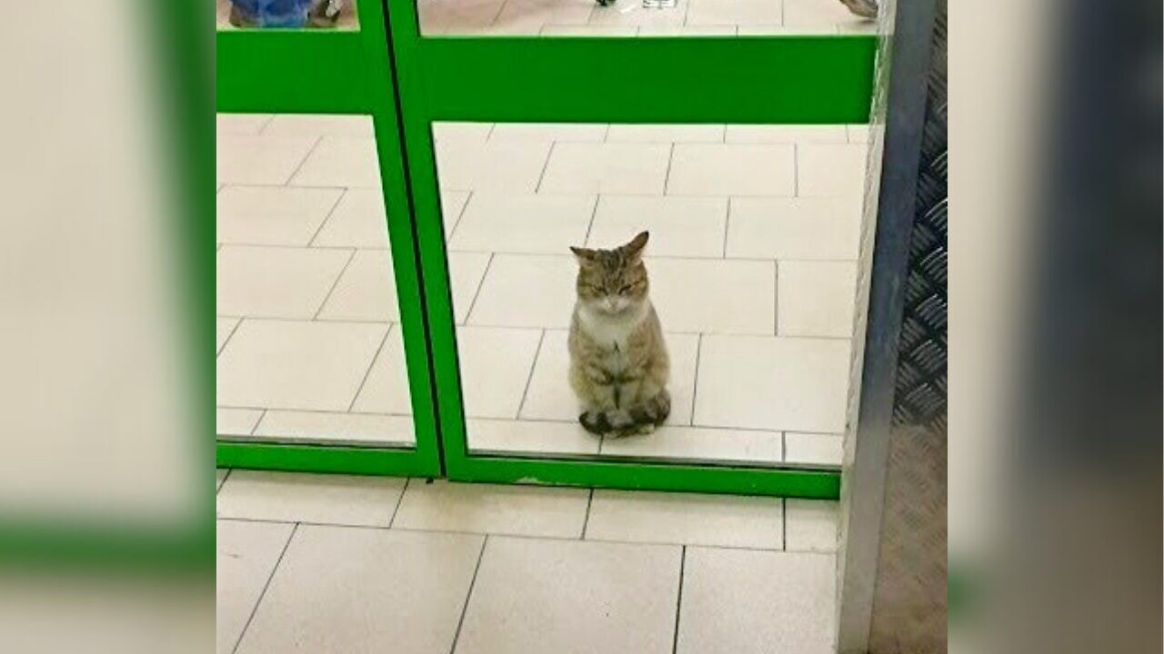 4a106d7f840b3d19bae46373c4dd42