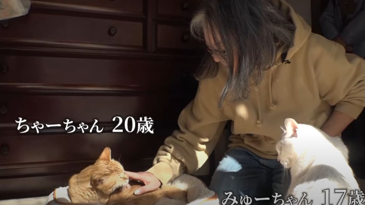 猫は我が子同然…」 愛猫を想いながら逝去した飼い主 残された2匹の
