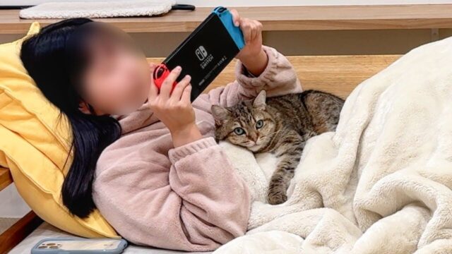 「ソファーでゲームでもやるか…」  2匹の猫たちの“構って攻撃”でプレイが進みません！