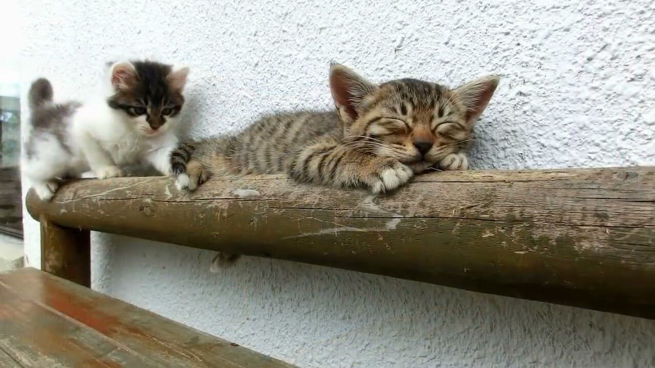 e5887087269caaad280b1355b55b57