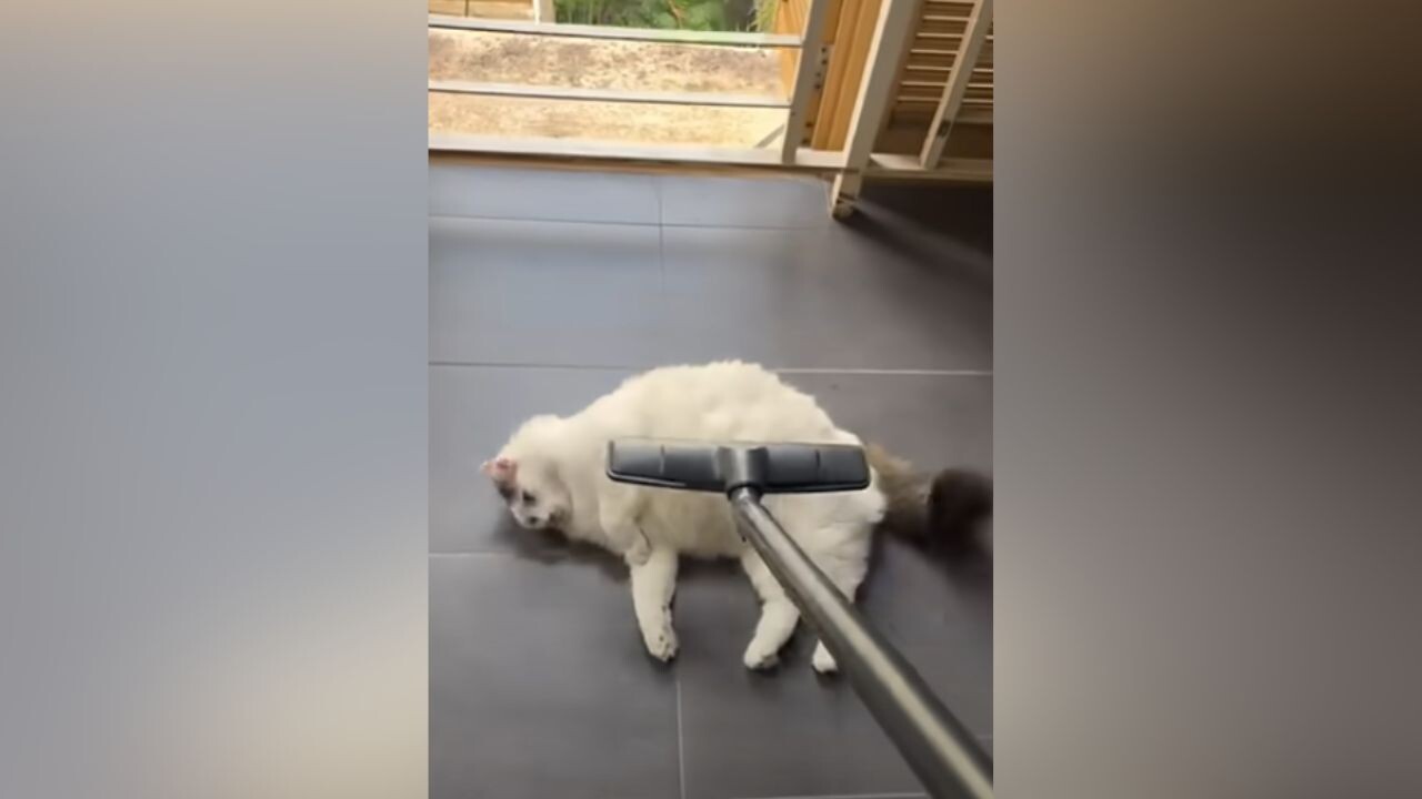 af0d061e2a61c1e5dea92f1cdb8a38