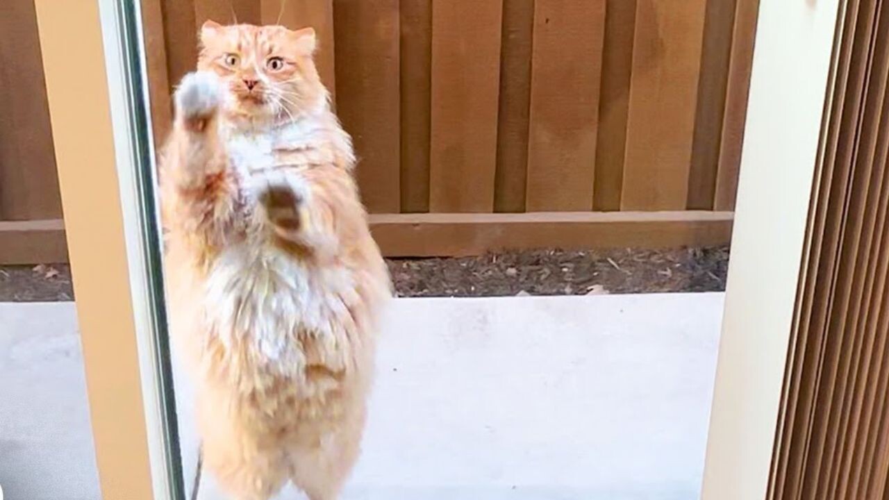 1d22684d5b6ffa09ba81da787d8b89