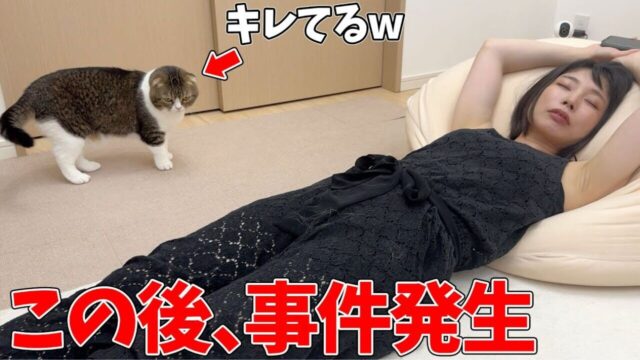 爆睡中のママに「起きて！」段々と攻撃レベルを上げる空腹の猫ちゃん、その最終手段は！？