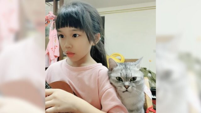ウクレレ指導の先生はしましまニャンコ！耳をすませる様子は厳しい音楽家のよう…！