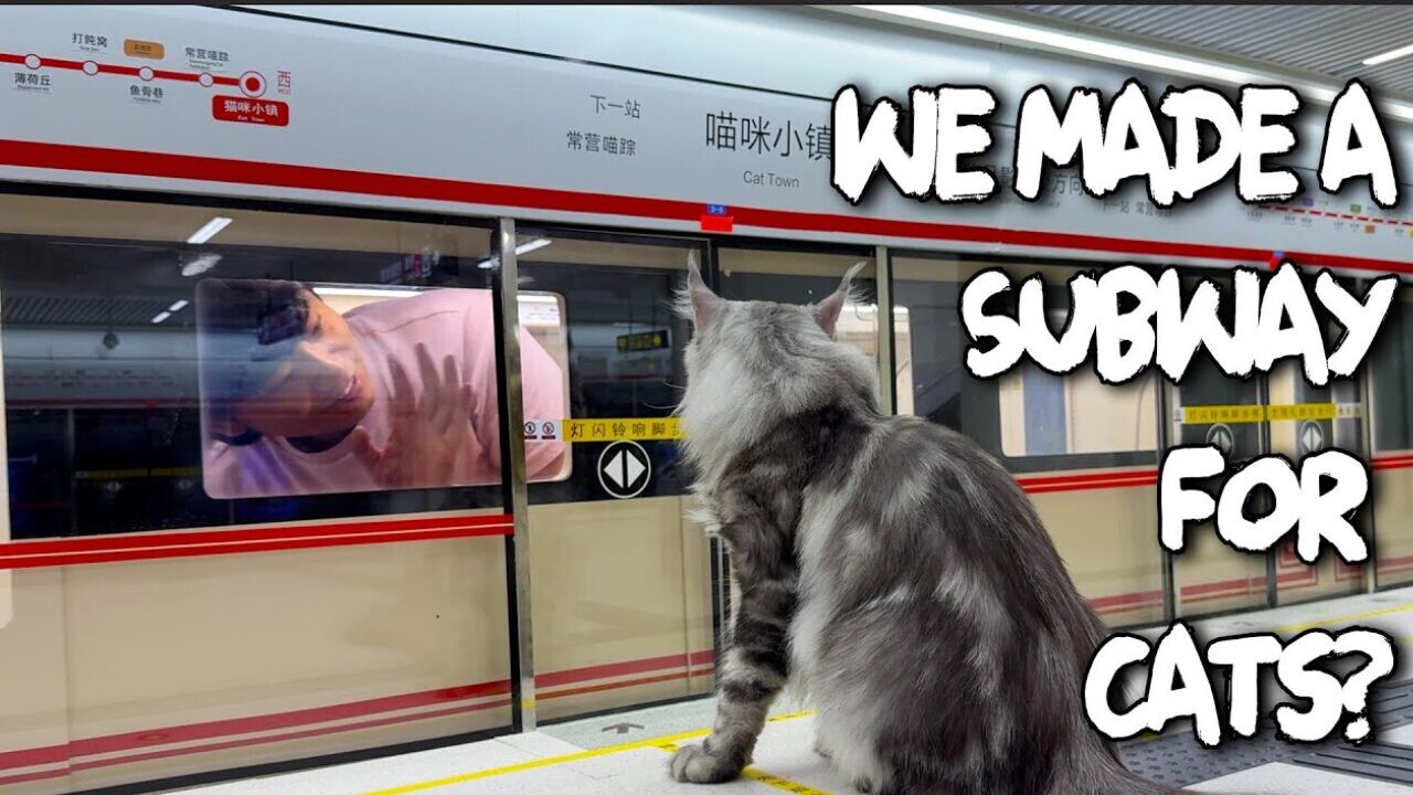 AIかと思いきや本物！猫の町の地下鉄という夢の世界をDIYする凄腕