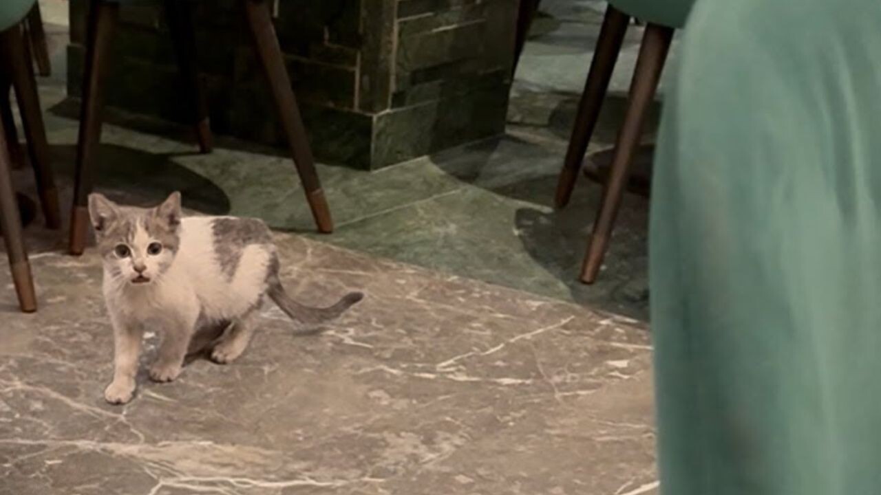 8c46e1874fc716108d13414fdf52f4