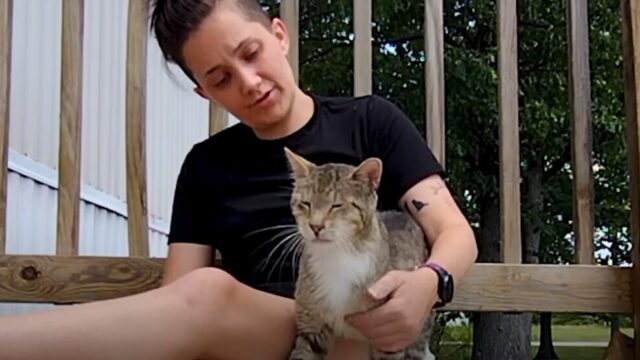 「ここが僕のおうちだニャン！」念願のマイハウスとかけがえのない家族を手に入れた野良猫ちゃん