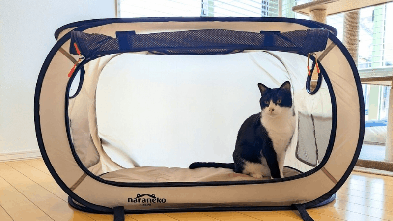 猫ハウス