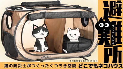 猫ハウス