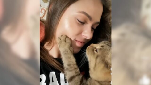 猫からキスの“おねだり”が…！ 愛猫と相思相愛な飼い主さんの”甘々すぎる日常”にキュン