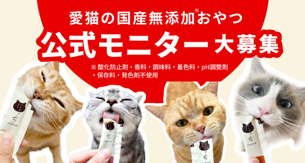 くろねこページです！ FEILER】＜Kurahashi Rei＞くろねこのなかのくろねこ＜全2色