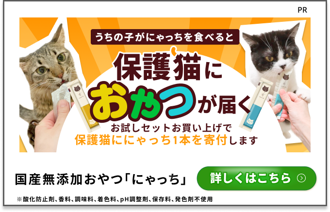 インターペット大阪2025】ついに治験開始！猫腎臓病AIM薬の最新