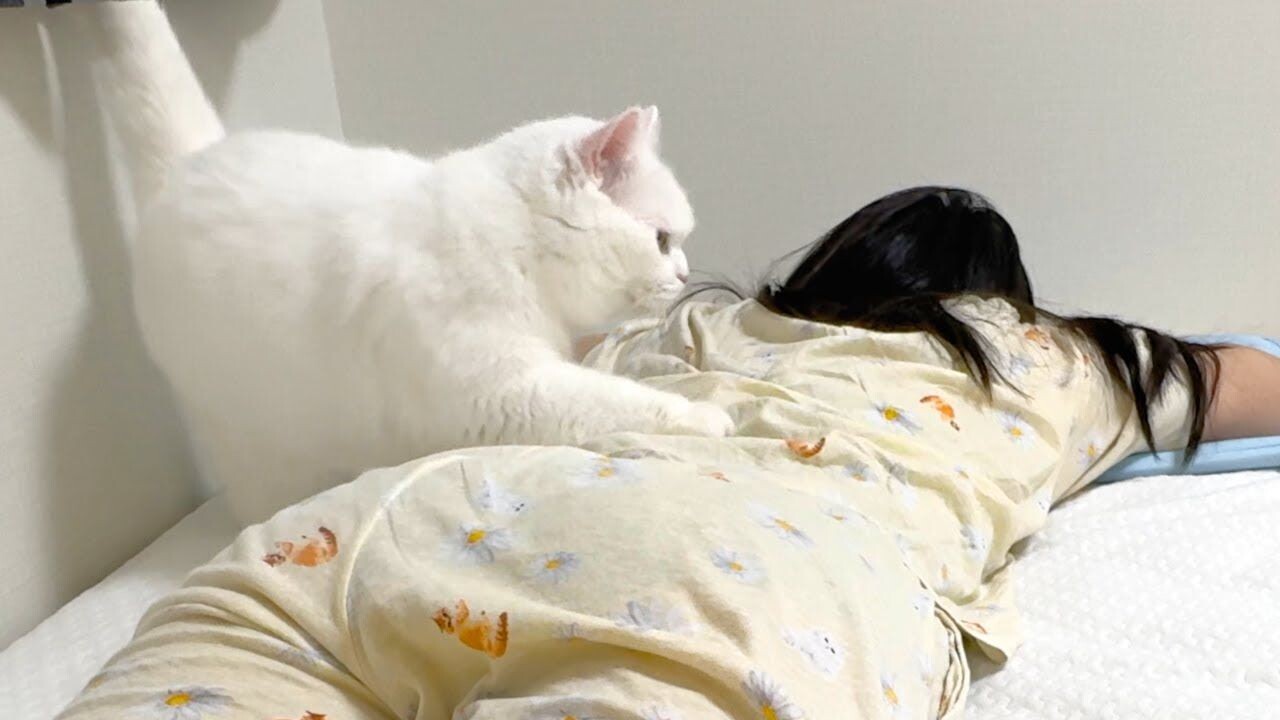 beb224b4ce77d313e16ecfa24ec0dc