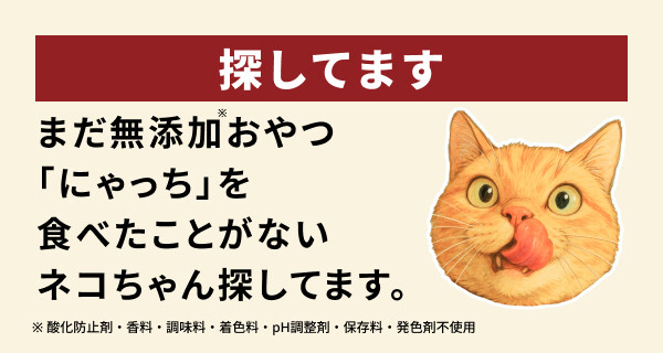 * vintage cat ❀ チリンとなる鈴と一緒 かわいいネコちゃん ハイタッチに輪っかくぐり、チリンチリンにお迎えも！飼い主さん