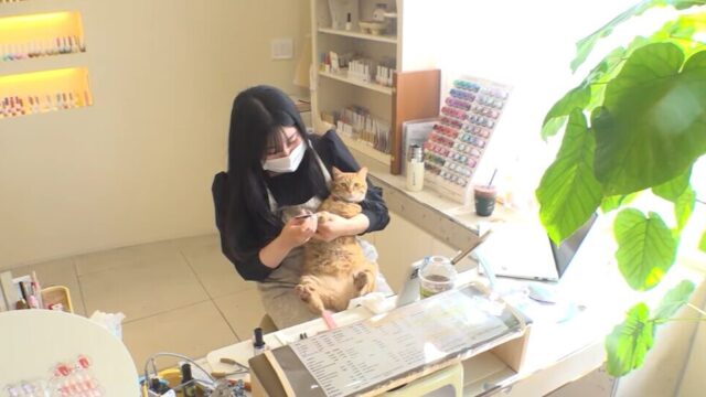 お外の世界は危険もあるんだよ…脱走魔のおキャット様が家猫へ大変身する物語