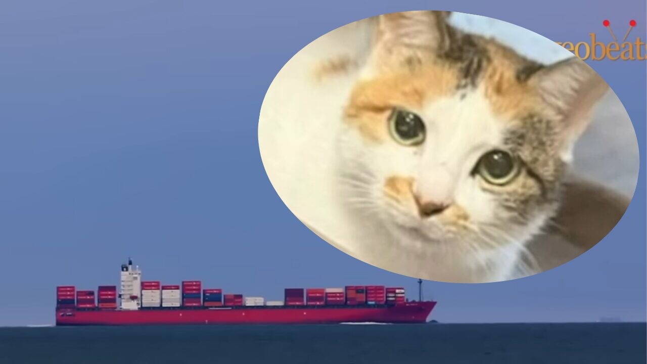 5652335f2ee8975102554974cb0f15