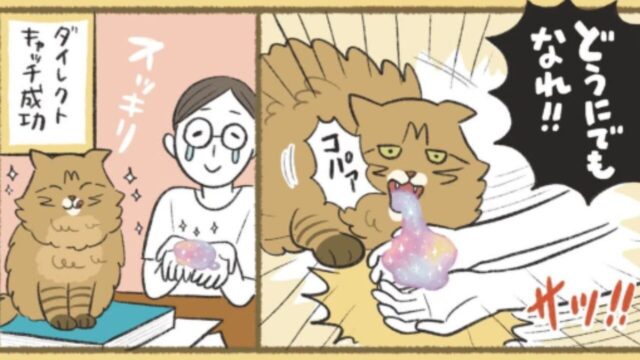 傷だらけの元野良猫と、ひとりぼっちだった保護犬――別々に生きていた3匹が寄り添って生きる“今”を描く日常漫画