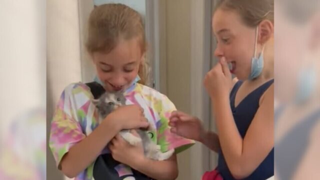 「夢が叶った！」 念願だった“初めての猫”を迎えて双子の娘が涙…