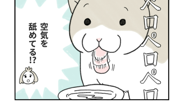 水を飲む時、“空気を舐める”愛猫に癒されて――猫漫画家み・ちこさんが語る“猫と暮らす幸せ”