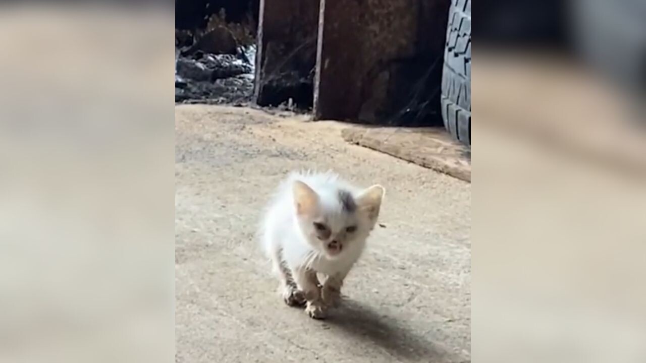 e4a78fe66cb415685997b1cc515749