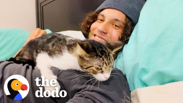 【緊急レスキュー】両脚にひどいケガをした猫ちゃん――あたたかな家族と出会うまでの物語