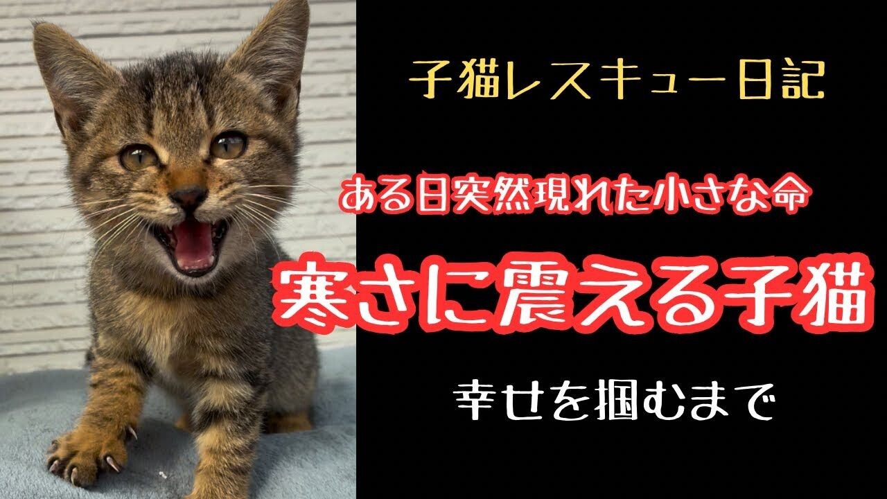 33f3e0a8cac83140a4316e9ae2ce5c