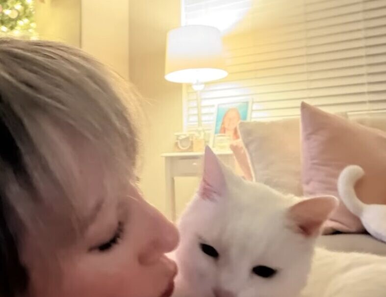 白猫 子猫期