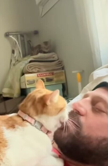男性 子猫