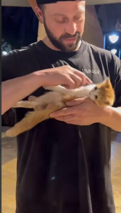 男性 子猫 保護