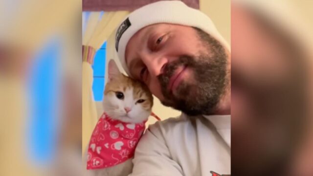 足を引きずる子猫を公園で保護　男性を”父親”にした3年間の猫暮らし