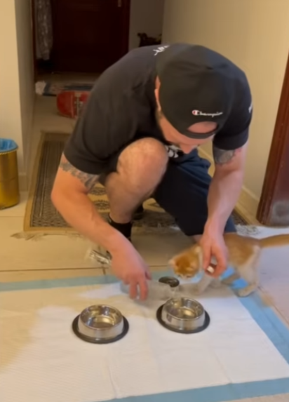 子猫 ご飯
