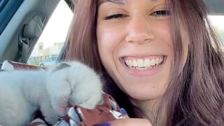 女性　子猫