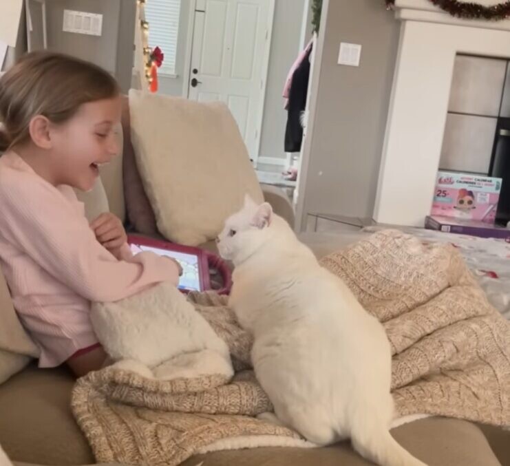 子ども 猫