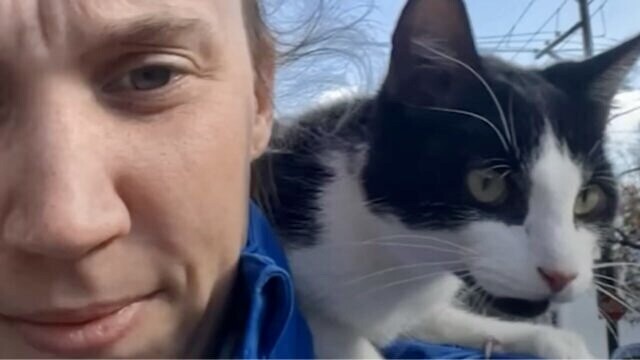 ジョギング中に出会ったガリガリ子猫　猫嫌いな犬と“親友”になった保護エピソード