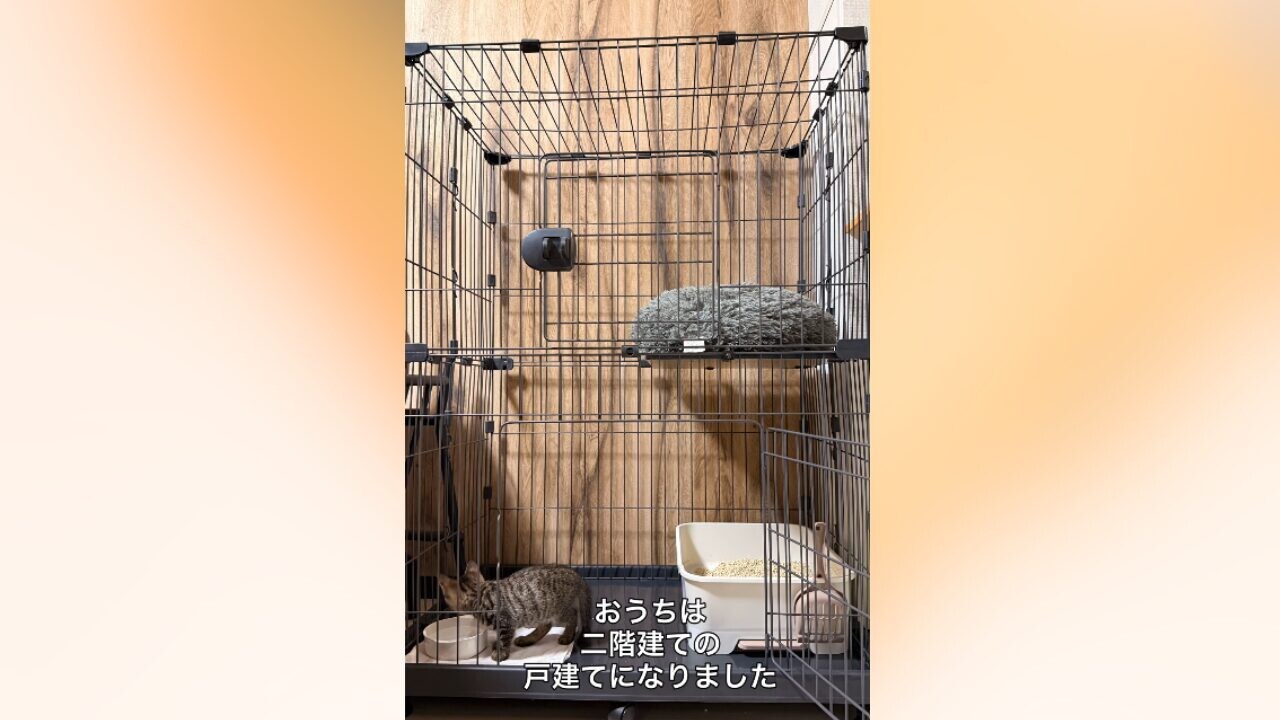 2階建ての猫専用ケージ
