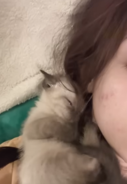 女性 子猫
