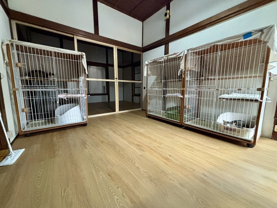 泥猫シェルター 泥猫倶楽部