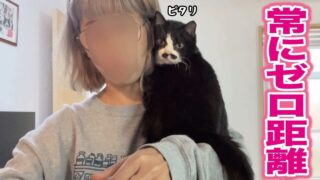 うこまチャンネル　まめちゃん