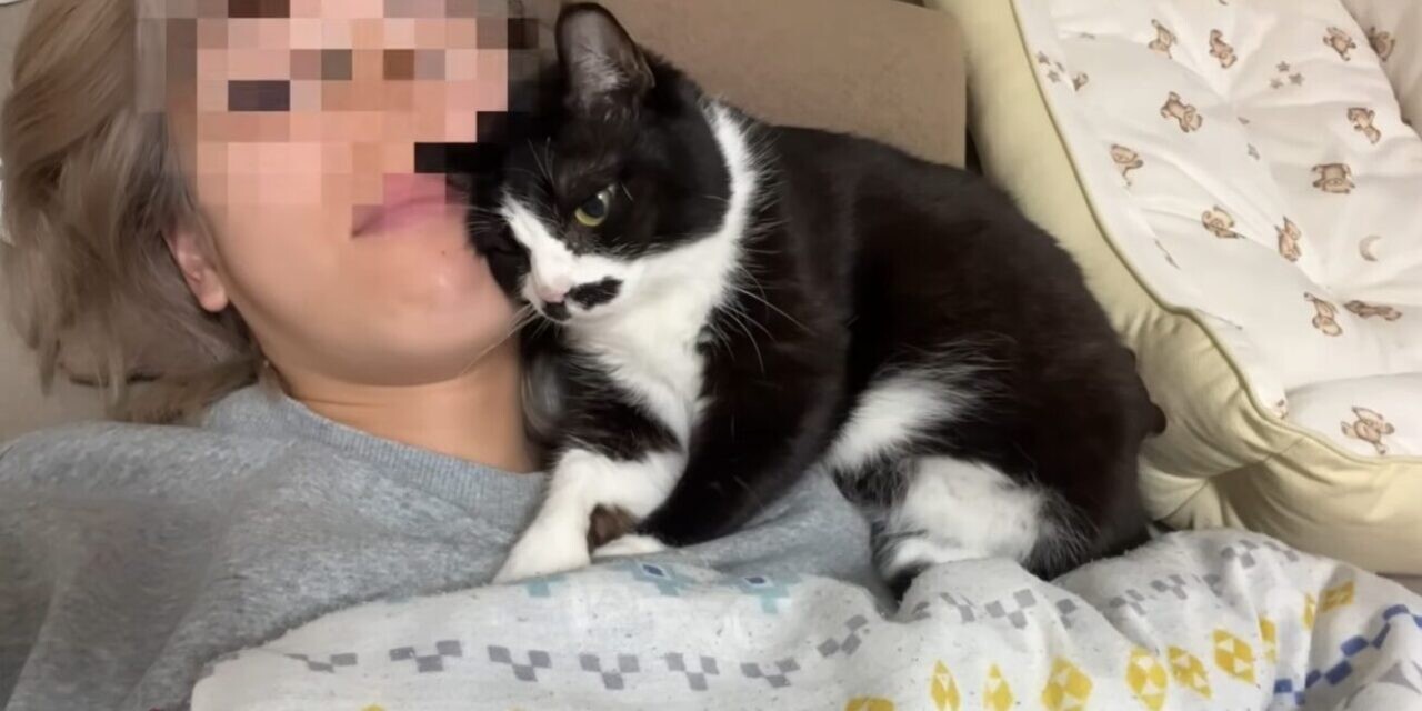 うこまチャンネル まめちゃん