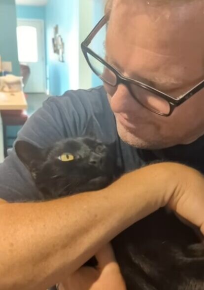 天才猫 保護猫