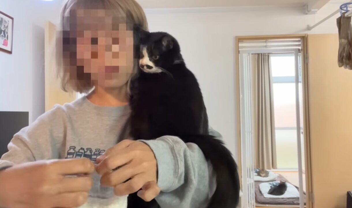 うこまチャンネル まめちゃん