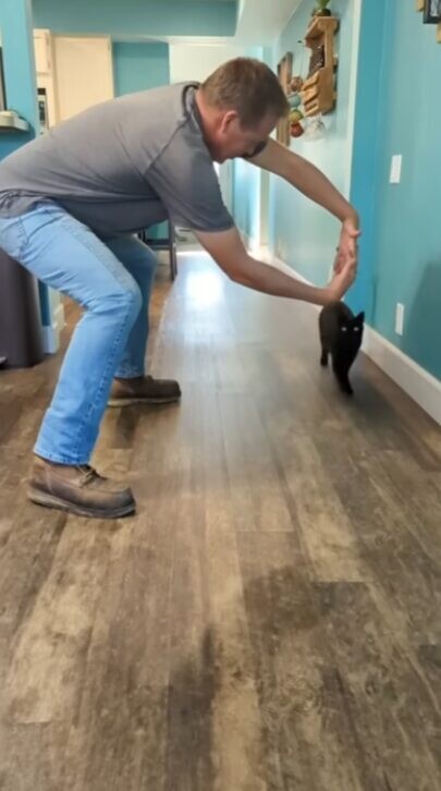天才猫 保護猫