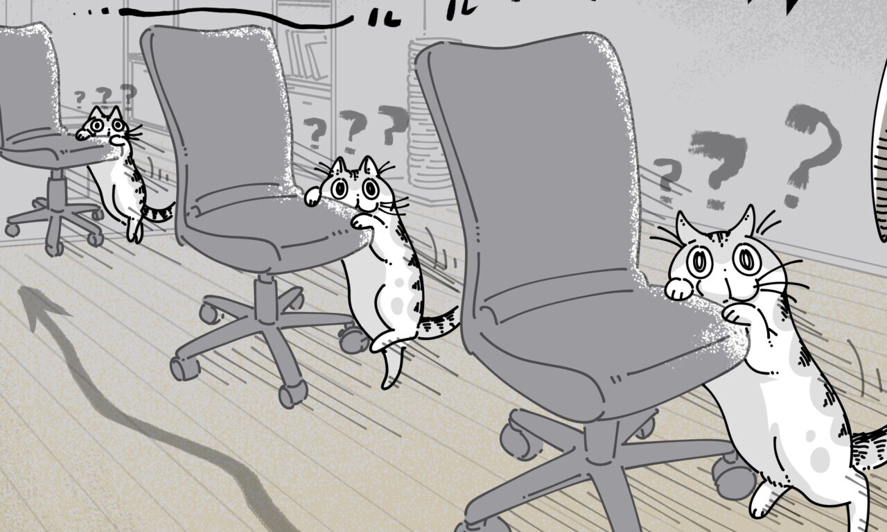 新しい椅子｜ねこナビ