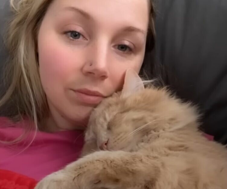 盲目 子猫