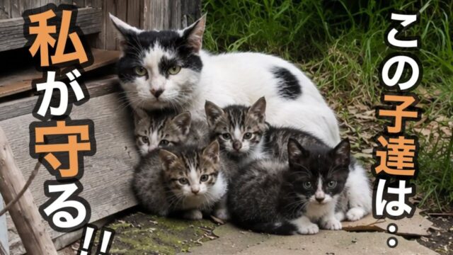 痩せた体で4匹を守り続けた母猫　保護後に初めて見せた安心した表情